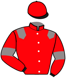 Casaque n°16
