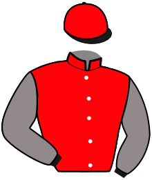 Casaque n°5
