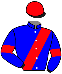 Casaque n°1