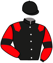 Casaque n°11