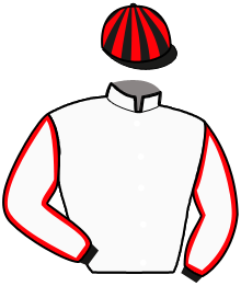 Casaque n°12