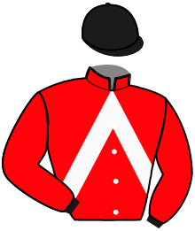 Casaque n°3