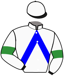 Casaque n°6