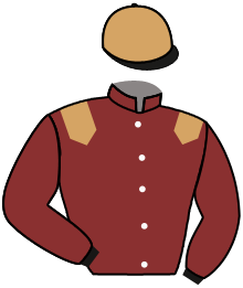 Casaque n°13
