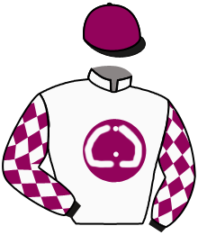 Casaque n°7