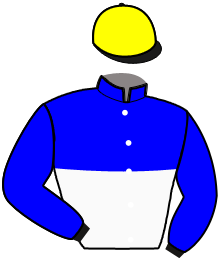 Casaque n°11