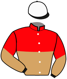 Casaque n°5