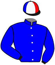 Casaque n°13