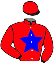 Casaque n°2