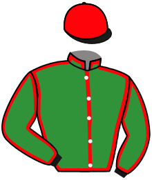Casaque n°2