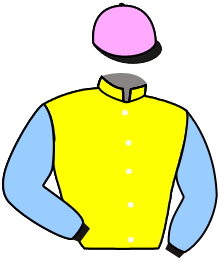 Casaque n°2