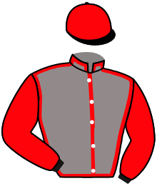 Casaque n°1