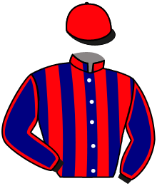 Casaque n°3