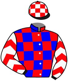 Casaque n°5