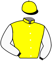 Casaque n°9
