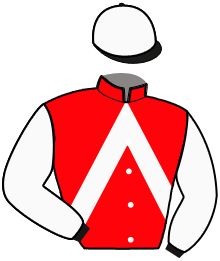 Casaque n°10