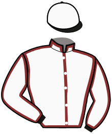 Casaque n°13