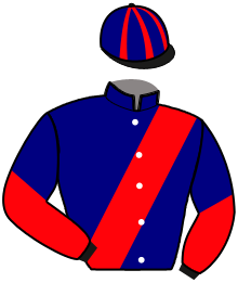 Casaque n°15