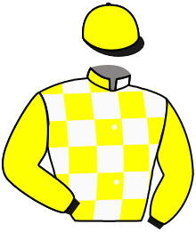 Casaque n°3