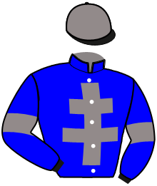 Casaque n°11