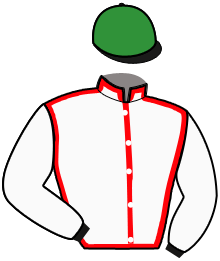 Casaque n°13