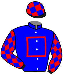 Casaque n°8