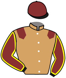 Casaque n°10