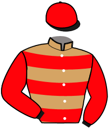 Casaque n°4