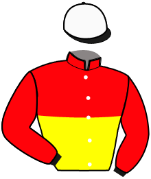 Casaque n°11