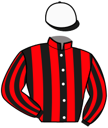 Casaque n°15
