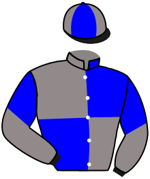 Casaque n°3