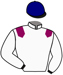 Casaque n°8
