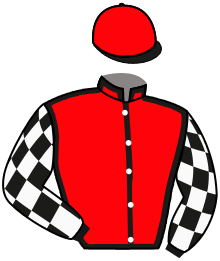 Casaque n°2