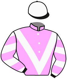 Casaque n°13
