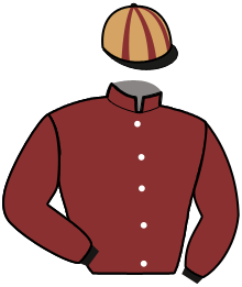 Casaque n°4