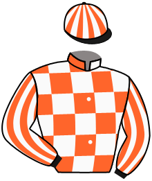 Casaque n°1