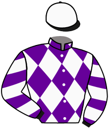 Casaque n°10