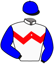 Casaque n°7