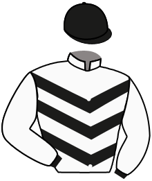 Casaque n°8