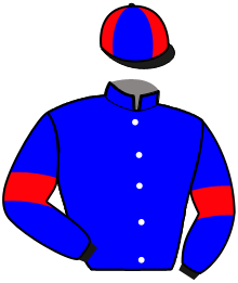 Casaque n°14