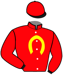Casaque n°9