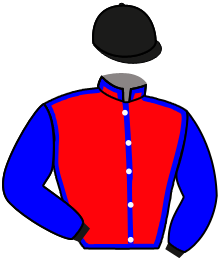 Casaque n°3