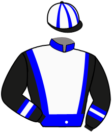 Casaque n°11