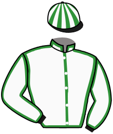 Casaque n°13