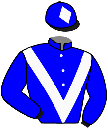 Casaque n°2
