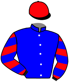 Casaque n°13