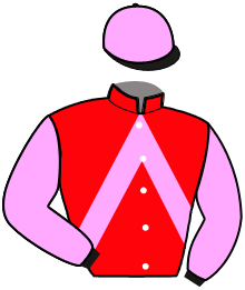 Casaque n°1