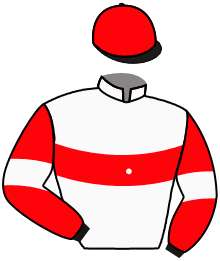 Casaque n°10