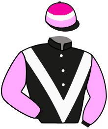 Casaque n°6