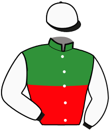 Casaque n°3